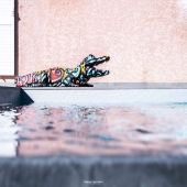 🐊💚
Réalisation en collaboration avec @jakeartwork 🖌🎨

#crocodile #croco #lacoste🐊 #oeuvredart #oeuvres #surmesure #couleurs #piscine #decorationinterieur #decorationexterieur #vernisseurpro #laqueur